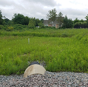 Stormwater_inspection